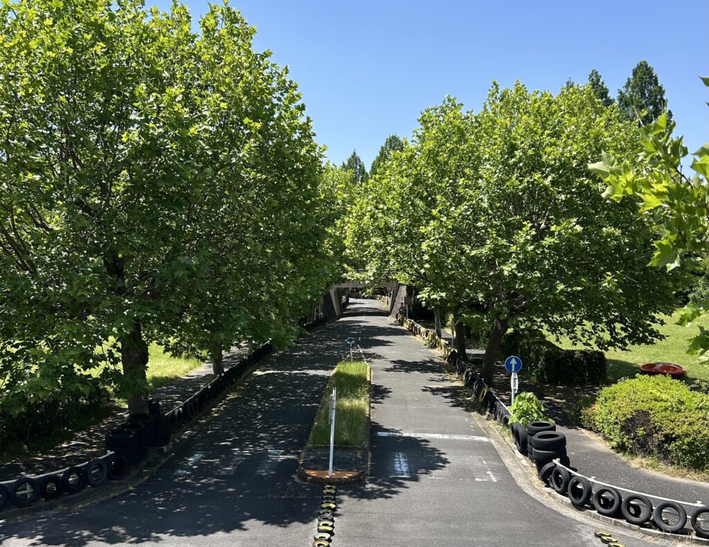 ゴーカードのコースの写真